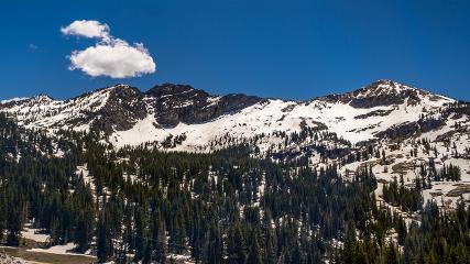 Alta: Alta (alta.com)