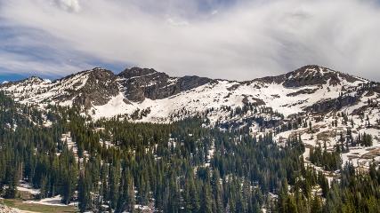 Alta: Alta (alta.com)