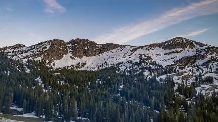 Alta: Alta (alta.com)