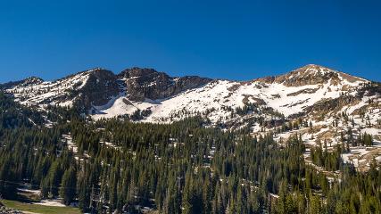 Alta webcam