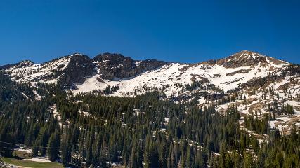 Alta webcam