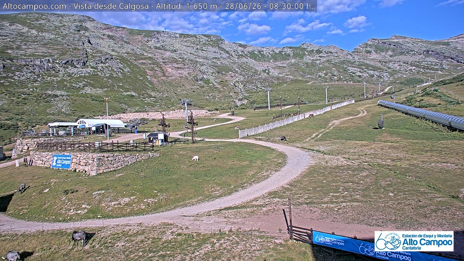 Webcam Alto Campoo: Calgosa - 1650m.