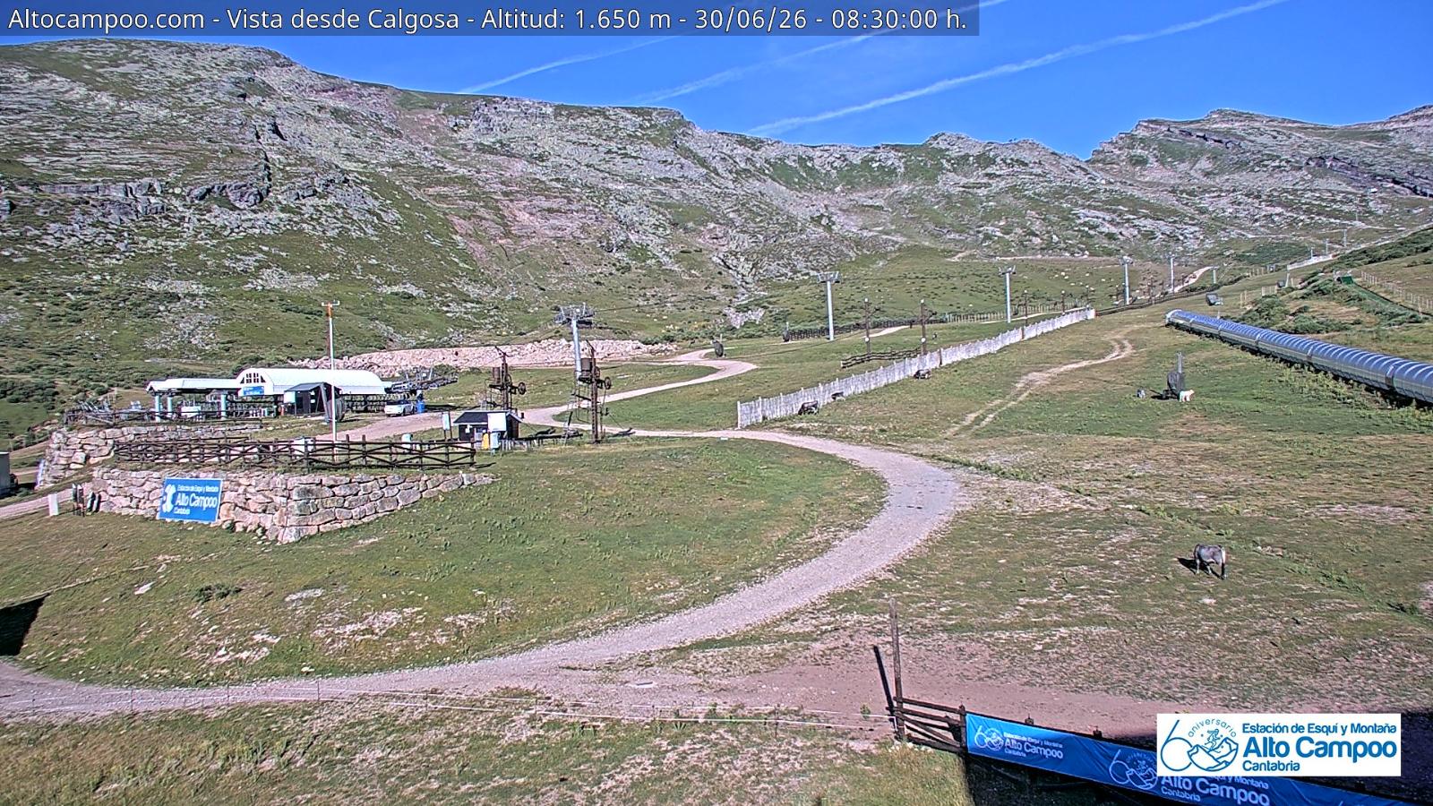Webcam Alto Campoo: Calgosa - 1650m.