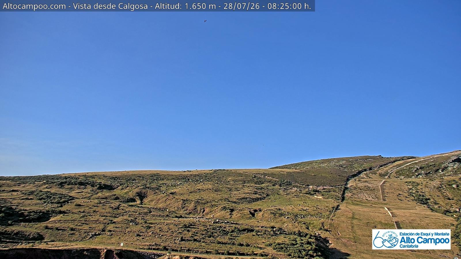 Webcam Alto Campoo: Calgosa - 1650m.