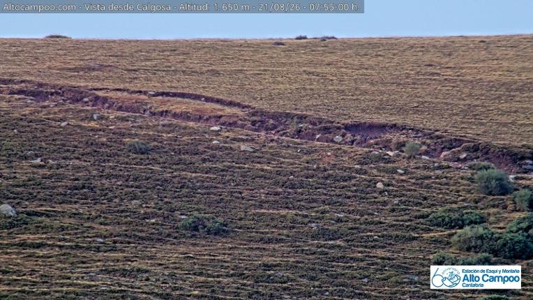 Webcam Alto Campoo: Calgosa - 1650m.