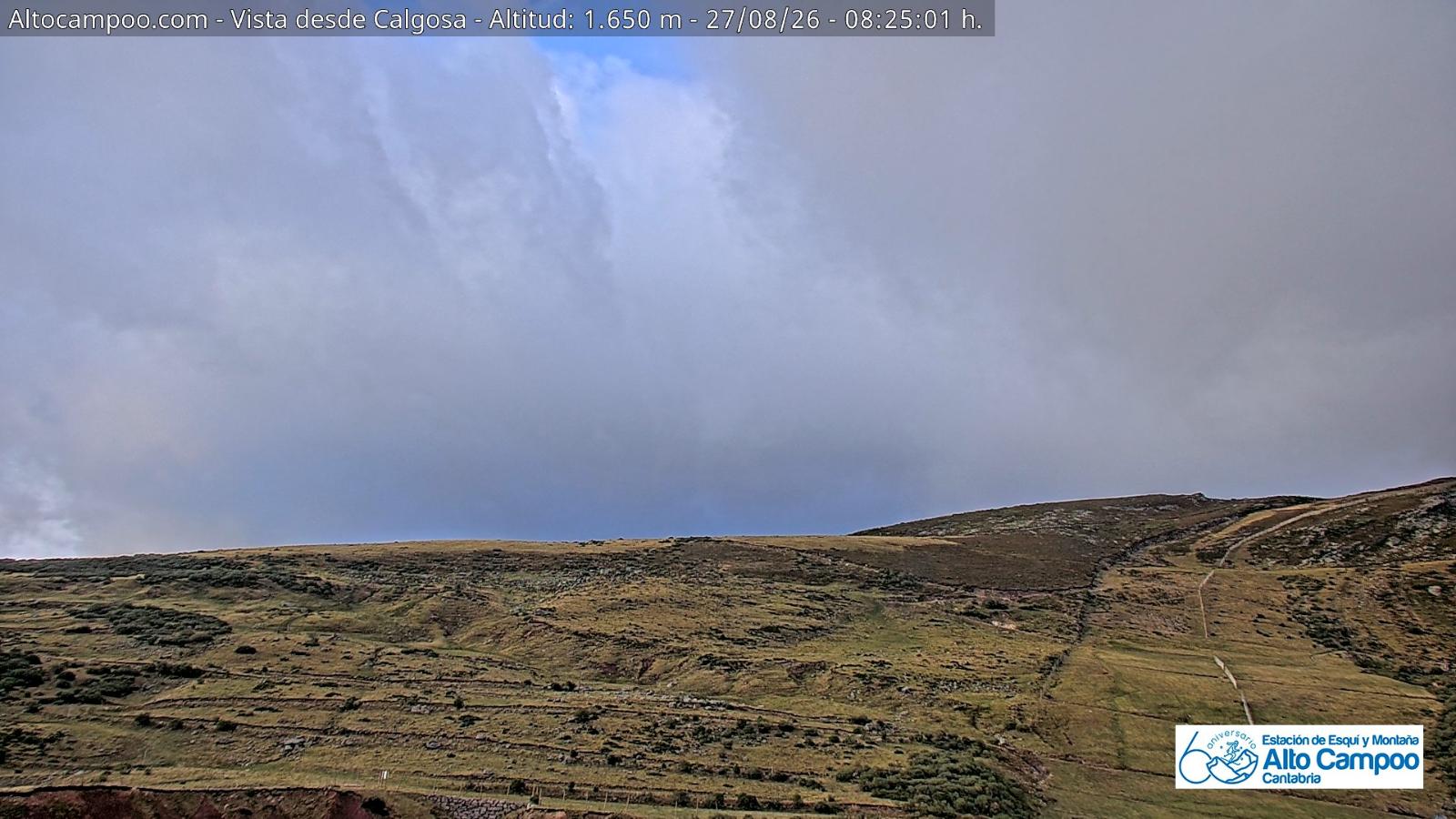 Webcam Alto Campoo: Calgosa - 1650m.