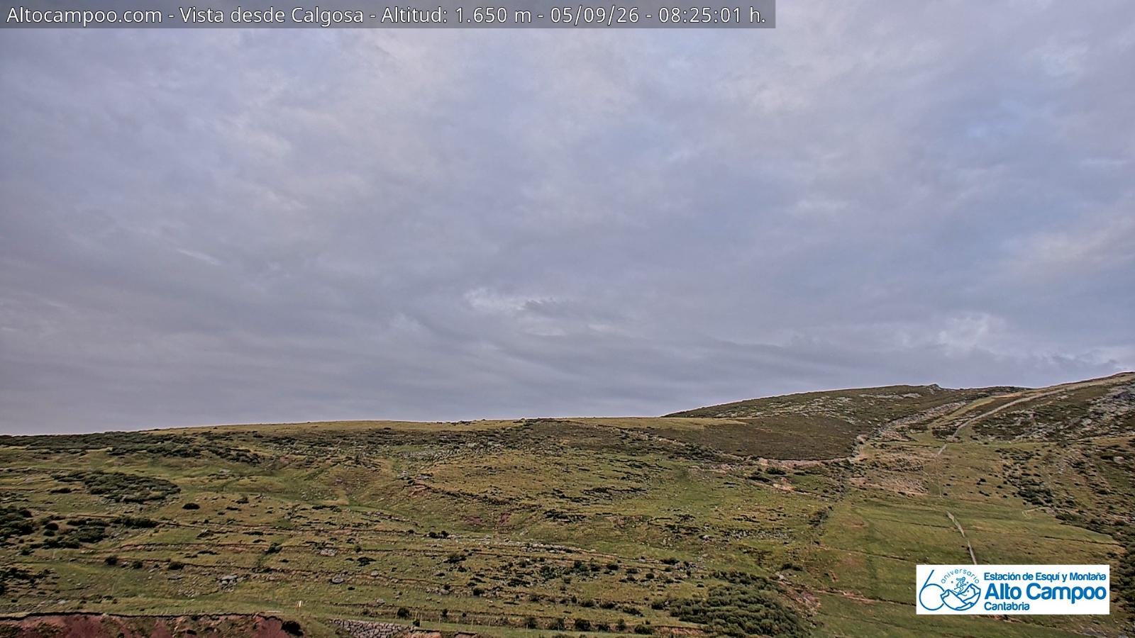 Webcam Alto Campoo: Calgosa - 1650m.