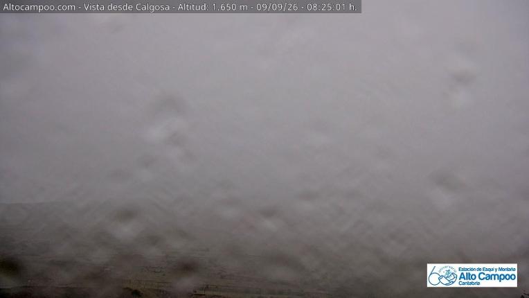 Webcam Alto Campoo: Calgosa - 1650m.