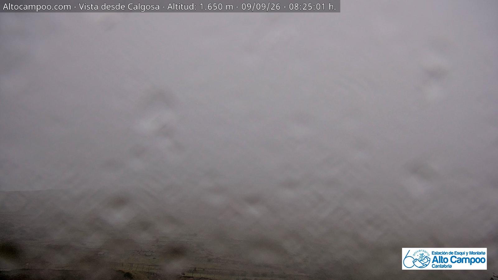 Webcam Alto Campoo: Calgosa - 1650m.