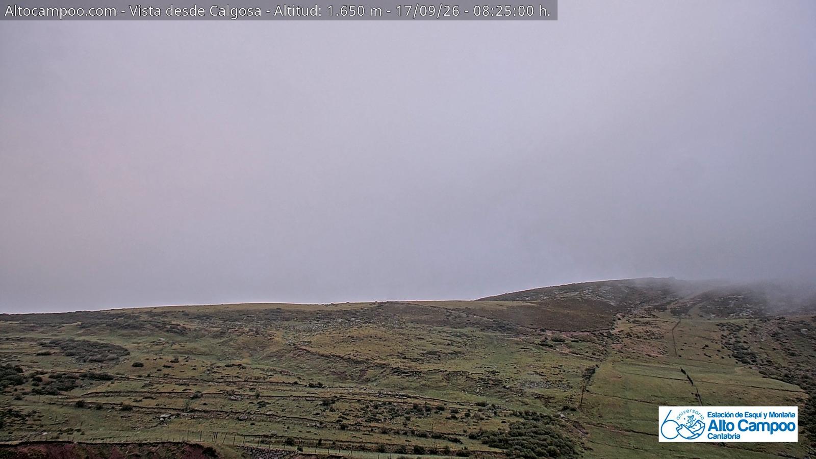 Webcam Alto Campoo: Calgosa - 1650m.