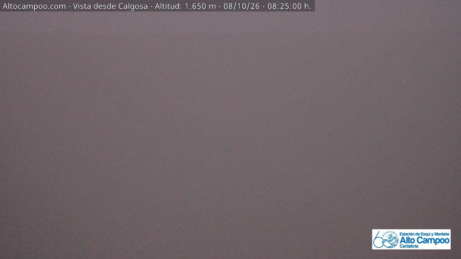 Webcam Alto Campoo: Calgosa - 1650m.