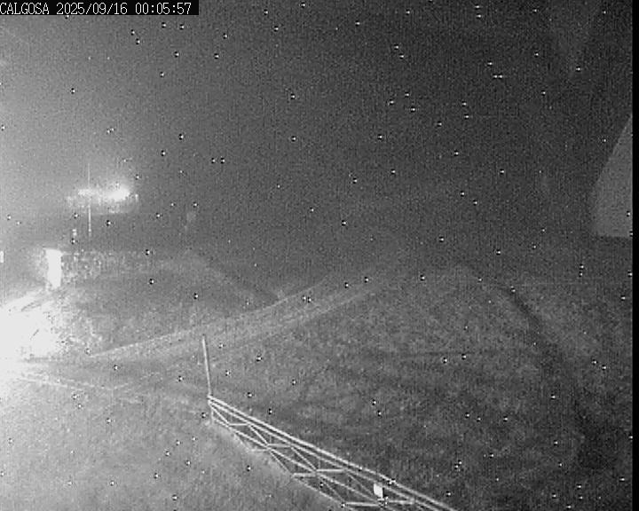 Webcam Alto Campoo: Calgosa - 1650m.