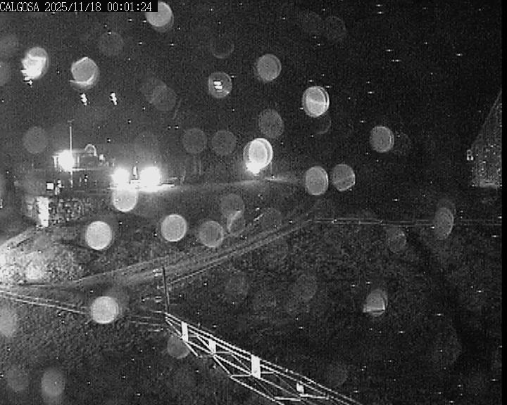 Webcam Alto Campoo: Calgosa - 1650m.