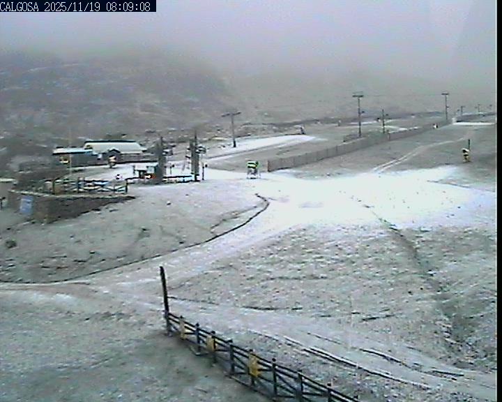 Webcam Alto Campoo: Calgosa - 1650m.