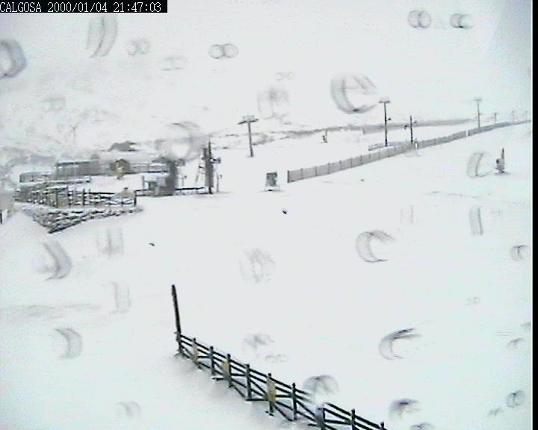 Webcam Alto Campoo: Calgosa - 1650m.