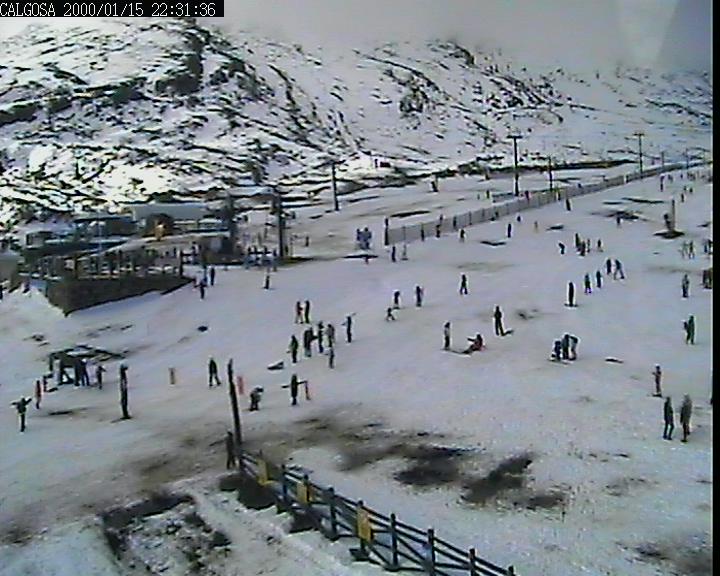 Webcam Alto Campoo: Calgosa - 1650m.