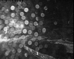 Alto Campoo: Calgosa - 1650m. (Cantur.com)