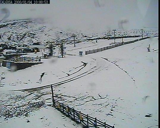 Webcam Alto Campoo: Calgosa - 1650m.