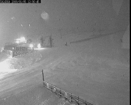 Webcam Alto Campoo: Calgosa - 1650m.