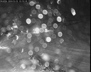 Alto Campoo: Calgosa - 1650m. (Cantur.com)