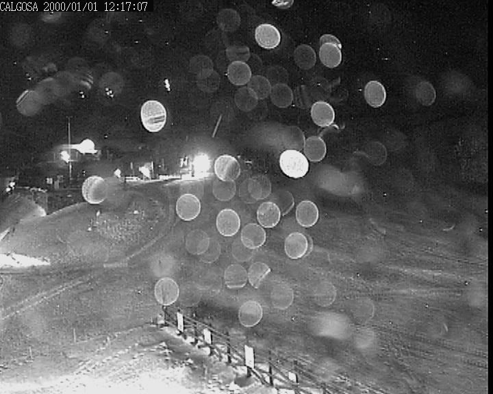 Webcam Alto Campoo: Calgosa - 1650m.