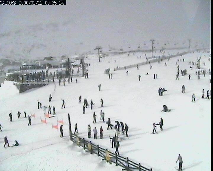 Webcam Alto Campoo: Calgosa - 1650m.