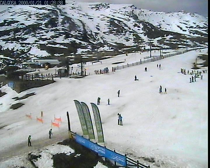 Webcam Alto Campoo: Calgosa - 1650m.