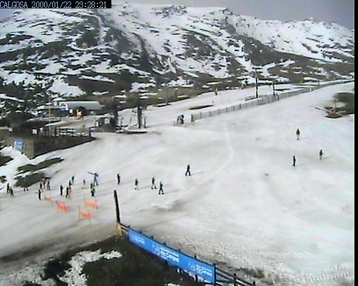 Webcam Alto Campoo: Calgosa - 1650m.