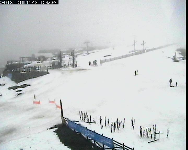 Webcam Alto Campoo: Calgosa - 1650m.
