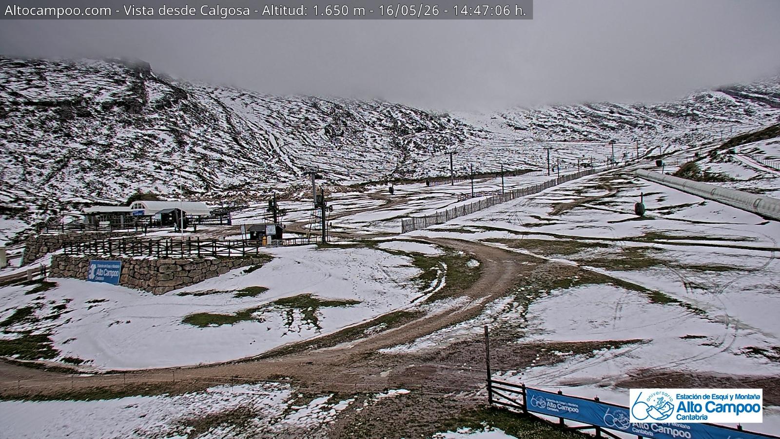 Webcam Alto Campoo: Calgosa - 1650m.