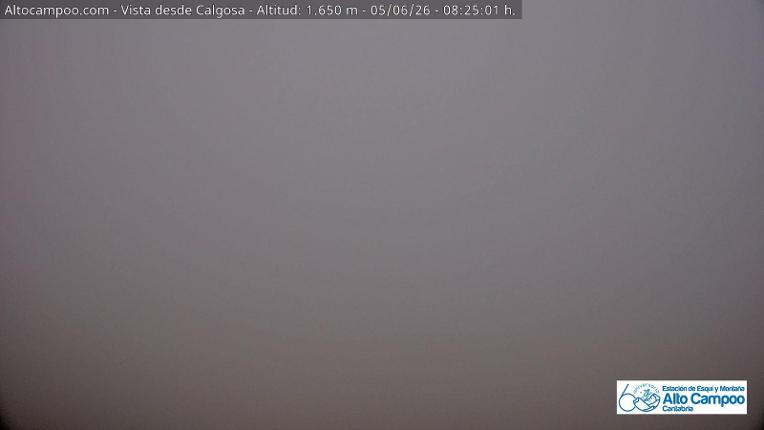 Webcam Alto Campoo: Calgosa - 1650m.