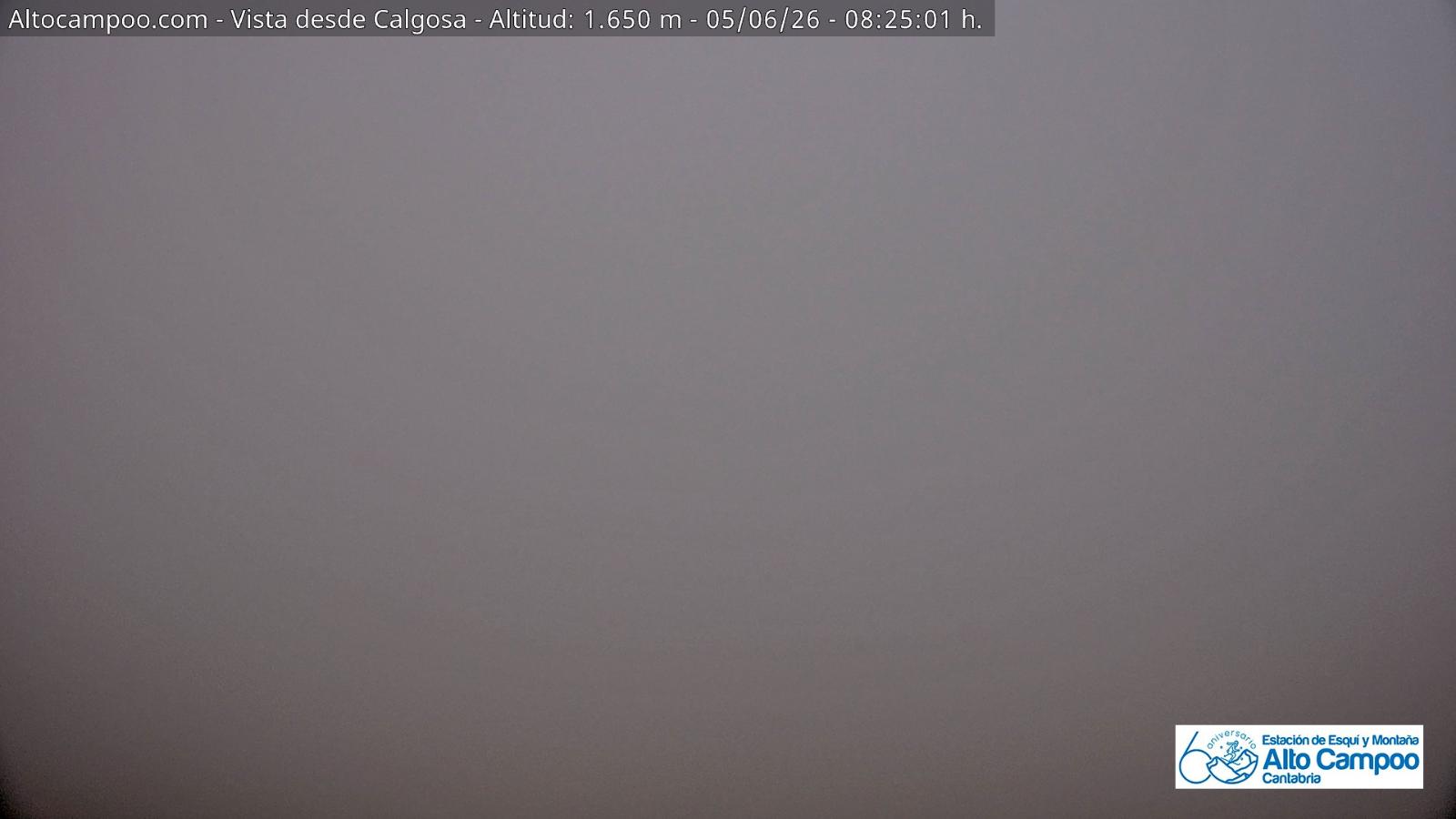 Webcam Alto Campoo: Calgosa - 1650m.