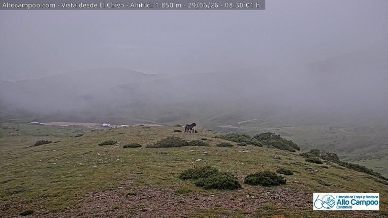 Webcam Alto Campoo: El Chivo - 1850m.