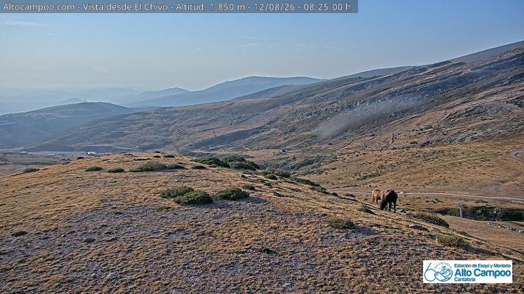 Webcam Alto Campoo: El Chivo - 1850m.