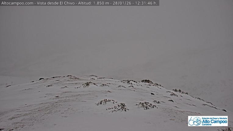 Webcam Alto Campoo: El Chivo - 1850m.