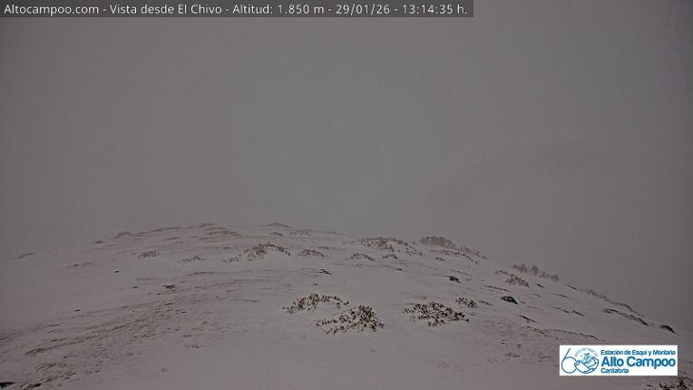 Webcam Alto Campoo: El Chivo - 1850m.