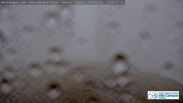 Webcam Alto Campoo: El Chivo - 1850m.