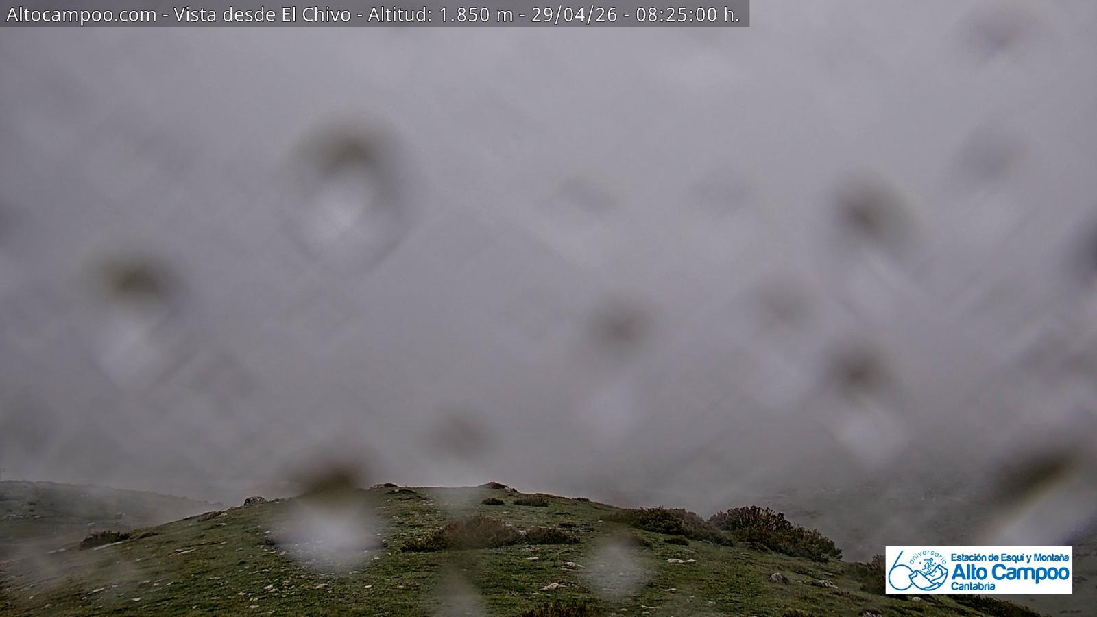 Webcam Alto Campoo: El Chivo - 1850m.