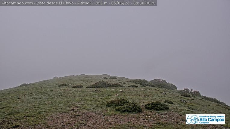 Webcam Alto Campoo: El Chivo - 1850m.