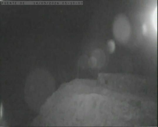 Webcam Alto Campoo: Fuente Dé