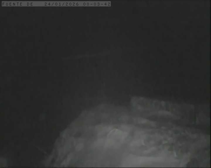 Webcam Alto Campoo: Fuente Dé