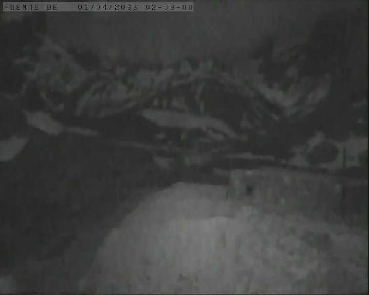 Webcam Alto Campoo: Fuente Dé
