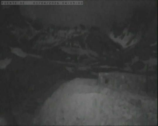 Webcam Alto Campoo: Fuente Dé