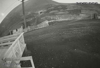 Antillanca: Vista Don Pedro (antillanca.cl)