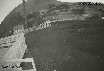 Antillanca: Vista Don Pedro (antillanca.cl)