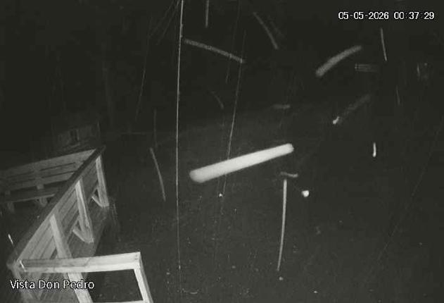 Webcam Antillanca: Vista Don Pedro