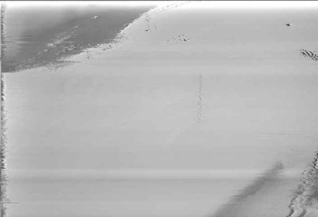 Webcam Antillanca: Vista Flecha