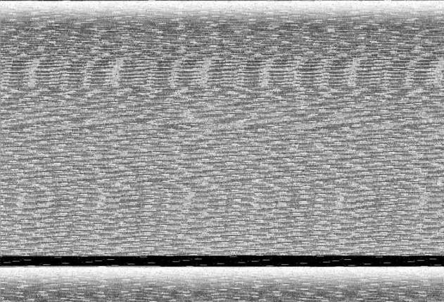 Webcam Antillanca: Vista Flecha