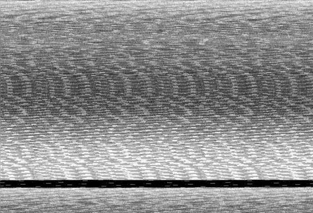 Webcam Antillanca: Vista Flecha