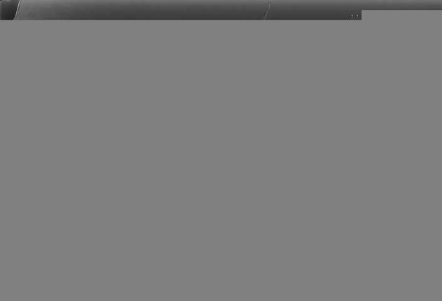 Webcam Antillanca: Vista Flecha